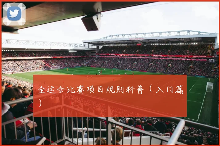 全运会比赛项目规则科普（入门篇）