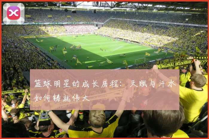 篮球明星的成长历程：天赋与汗水如何铸就伟大