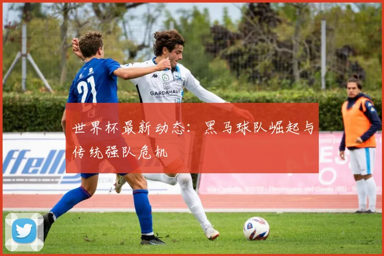 世界杯最新动态：黑马球队崛起与传统强队危机