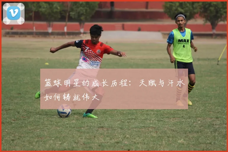 篮球明星的成长历程：天赋与汗水如何铸就伟大